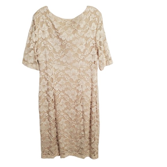 Connected Size 16 Dress Lace Overlay Lined Stretch Faux Wrap Cocktail Champagne - Picture 6 of 12